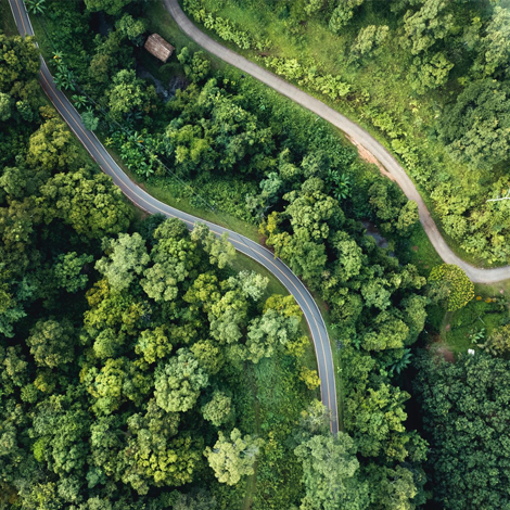 About PMI Top view of trees and road