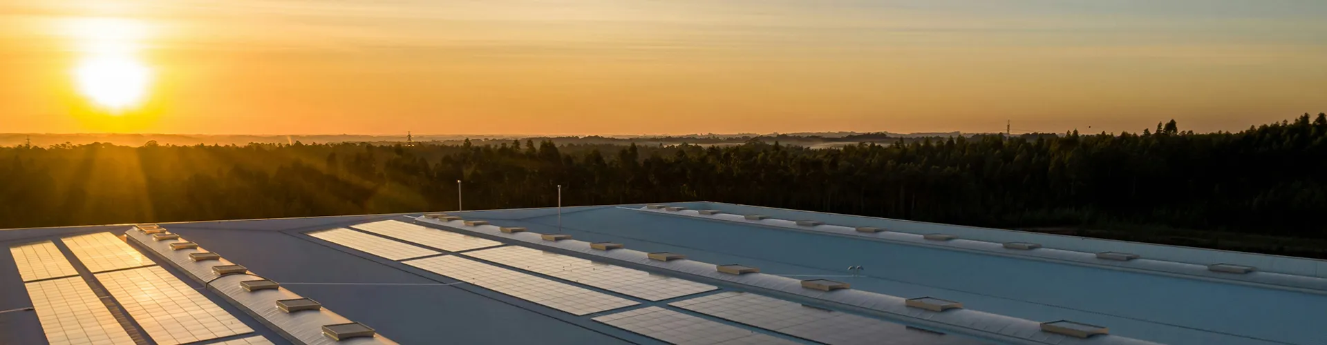 Solar Panels Top view of solar panels and a sunset