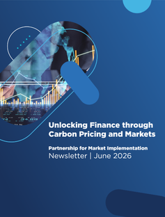 PMI Newsletter - June 2026