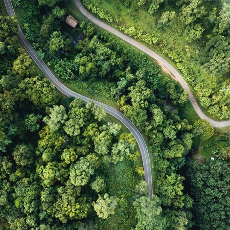 About PMI Top view of trees and road