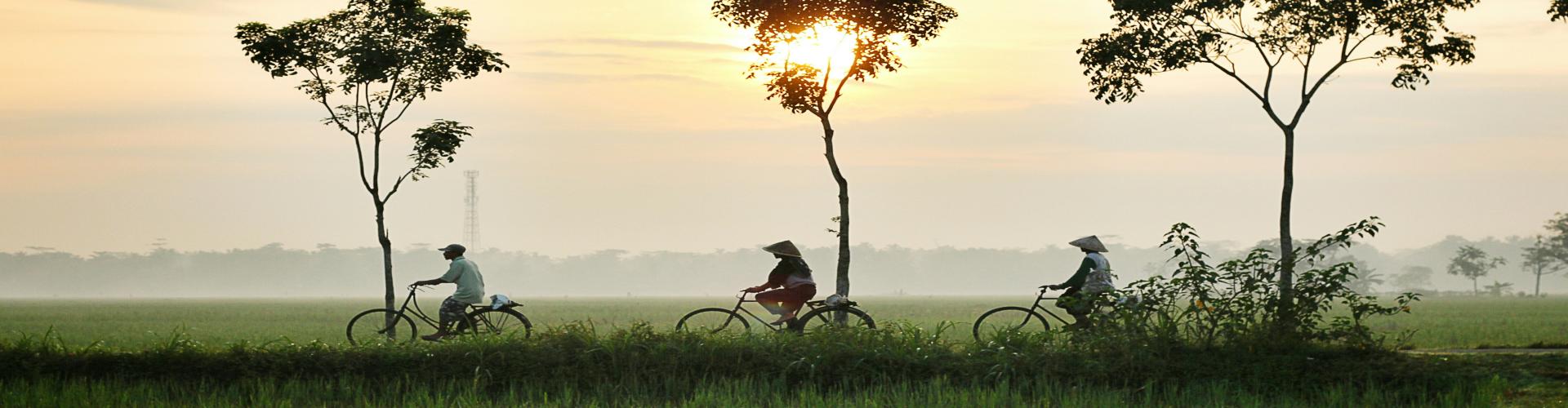 workers in bicycle