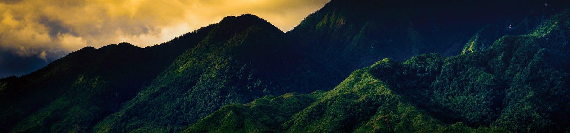 Banner Image: Hillside