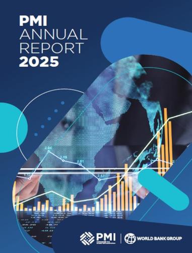 PMI Annual Report 2025