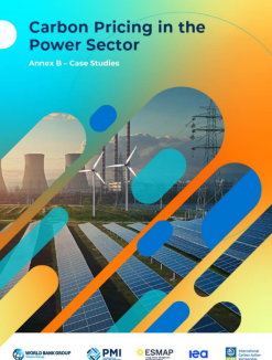 Carbon Pricing in the Power Sector: Annex B - Case Studies - cover