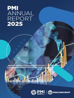 PMI Annual Report 2025