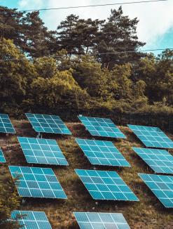 Image of solar panels (photo credit: unsplash)