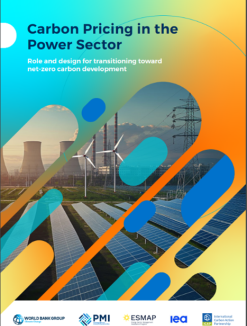 The cover image of carbon pricing sector report