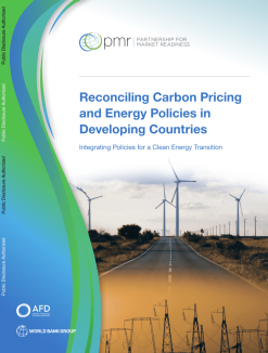 Reconciling Carbon Pricing and Energy Policies in Developing Countries