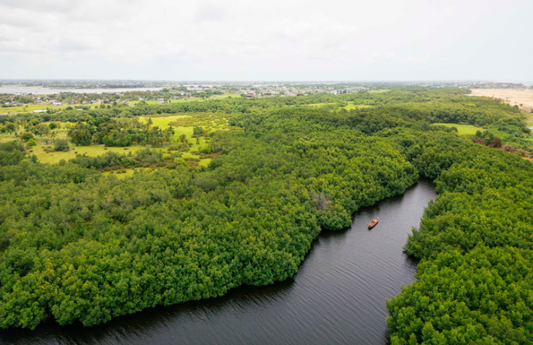 Benin forest and river landscape. Photo: Nathan Ochole/WACA Program/World Bank
