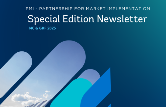 Cover Image: PMI Newsletter - 2025  Special Edition 