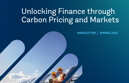 Cover Image: PMI Newsletter - Spring 2025