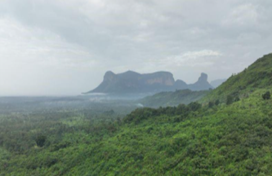 Kounounkan, Guinéa. Photo credit: Xavier Bourgois 