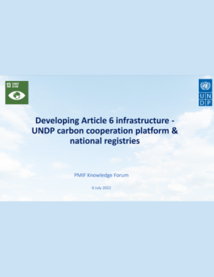 Developing Article 6 infrastructure cover Developing Article 6 infrastructure - UNDP carbon cooperation platform & national registries