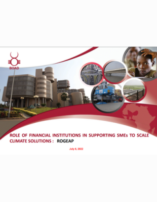 Role Of Financial Institutions In Supporting SMEs To Scale Climate Solutions: ROGEAP ROGEAP cover