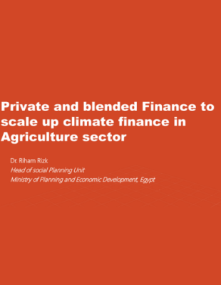 Private and blended Finance to scale up climate finance in Agriculture sector Private and blended Finance to scale up climate finance in Agriculture sector