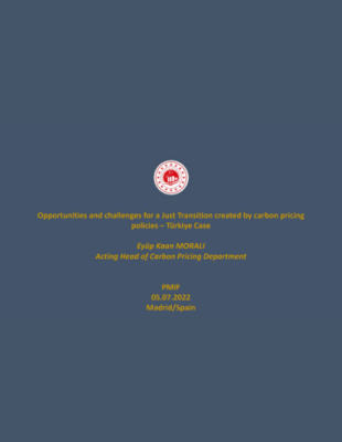 Opportunities and challenges for a Just Transition created by carbon pricing policies–Türkiye Case cover of Türkiye Case