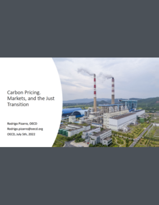 Carbon Pricing. Markets,cover Carbon Pricing. Markets, and the Just Transition