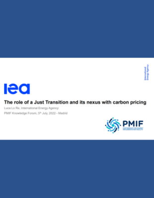 The role of a Just Transition The role of a Just Transition and its nexus with carbon pricing