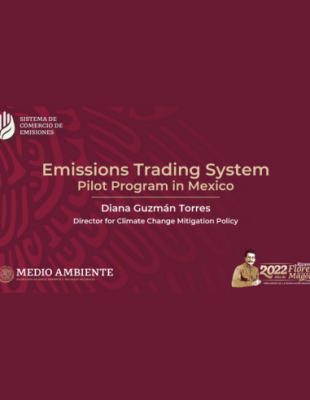 Emissions Trading System Pilot Program in Mexico Emissions Trading System Pilot Program in Mexico