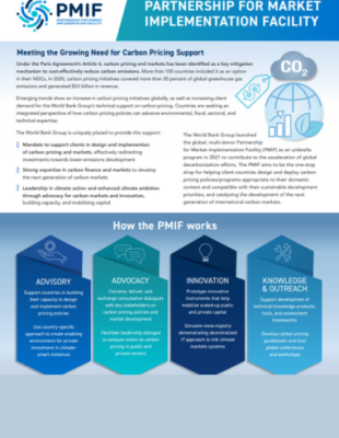 Partnership for Market Implementation Facility cover Partnership for Market Implementation Facility (PMIF)