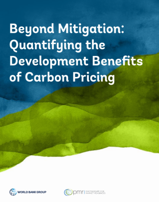 Beyond Mitigation_Cover
