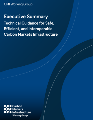Cover Image: Technical Guidance: Carbon Markets Infrastructure Cover Image: Technical Guidance: Carbon Markets Infrastructure