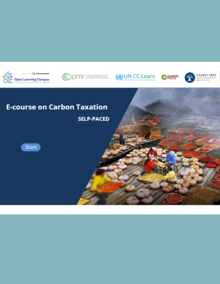 E-Course on Carbon Taxation E-Course on Carbon Taxation