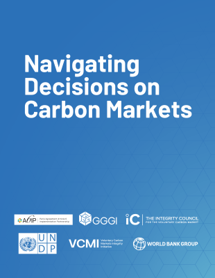 Blue background with white texts - Navigating Decisions on Carbon Markets