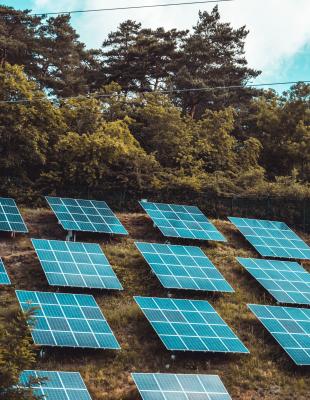 Image of solar panels Image of solar panels (photo credit: unsplash)