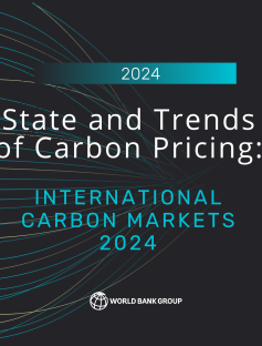 State and Trends International Carbon Markets 2024 Cover Image