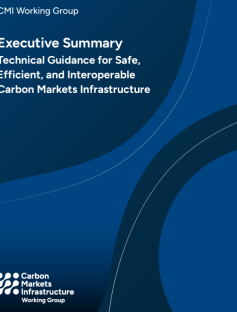 Cover Image: Technical Guidance: Carbon Markets Infrastructure