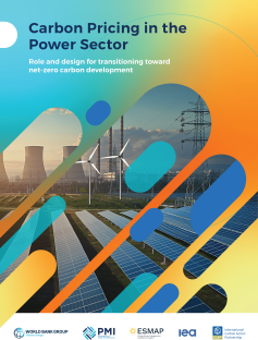 Carbon Pricing in the Power Sector