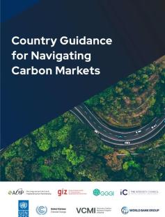 Country Guidance for Navigating Carbon Markets