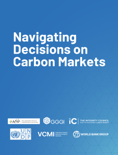 Blue background with white texts - Navigating Decisions on Carbon Markets