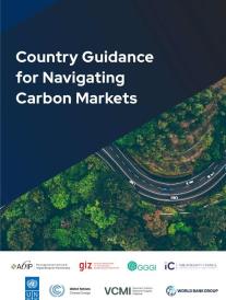 Country Guidance for Navigating Carbon Markets